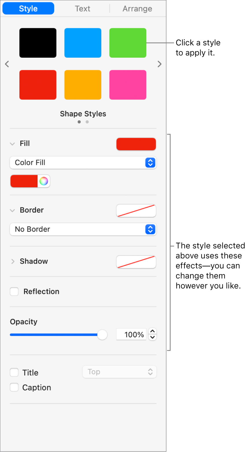 Shape styles and options in the Format section of the sidebar.