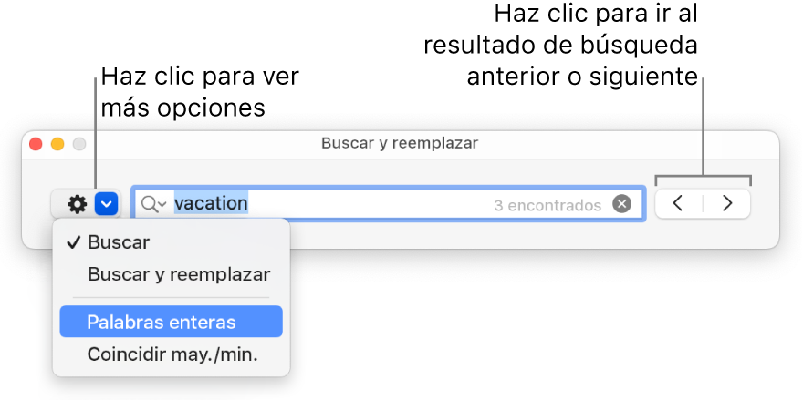 La ventana “Buscar y reemplazar” con el menú desplegable donde aparecen las opciones Buscar, “Buscar y reemplazar,” “Palabras enteras” y “Coincidir may./min.”. Las flechas de la derecha te permiten moverte entre el resultado de búsqueda anterior y el siguiente.