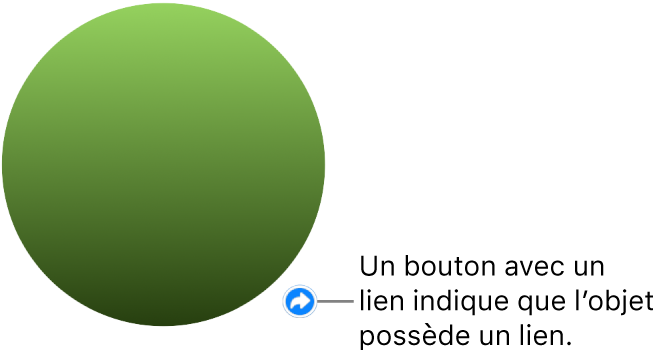 Un cercle vert avec un bouton de lien qui indique que l’objet possède un lien.