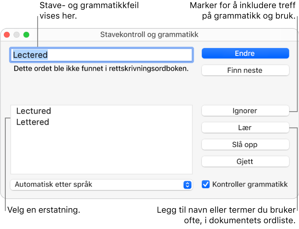 Stavekontroll og grammatikk-vinduet.