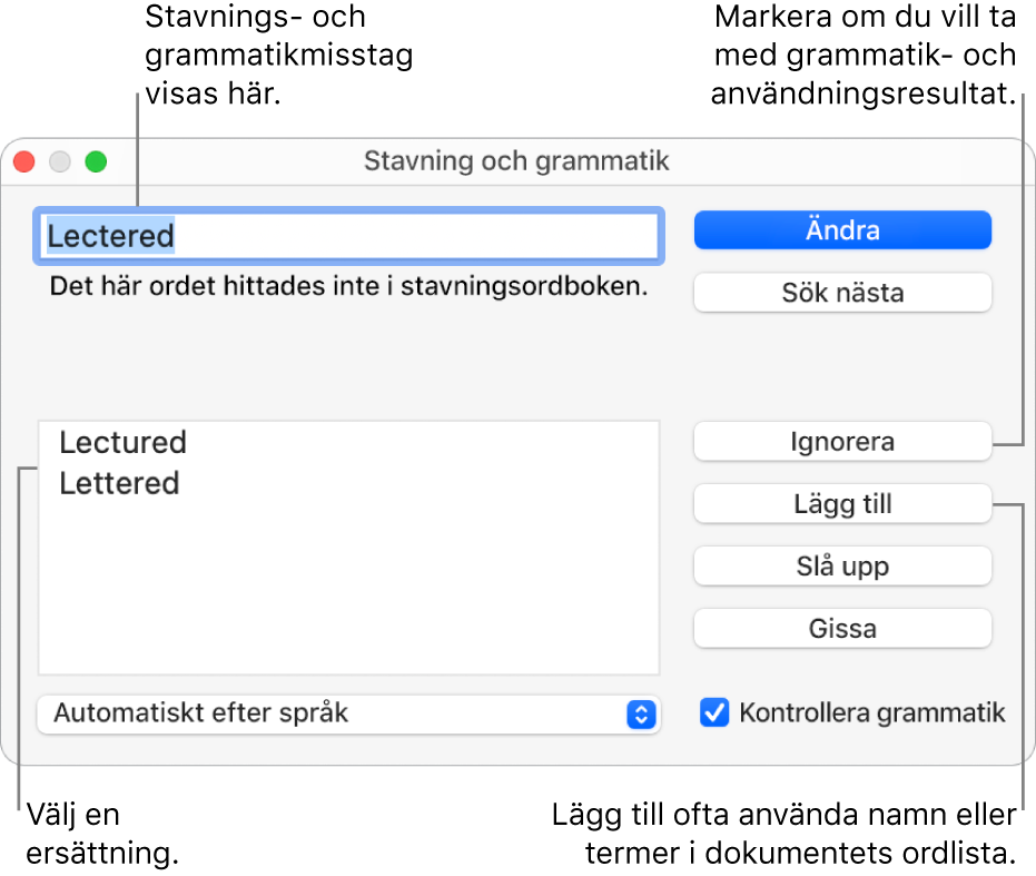 Fönstret Stavning och grammatik.