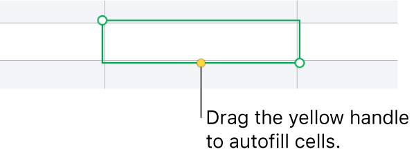 A selected cell with a yellow handle you can drag to auto fill cells.