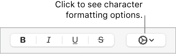 The More Text Options button next to Bold, Italic, Underline and Strikethrough buttons.