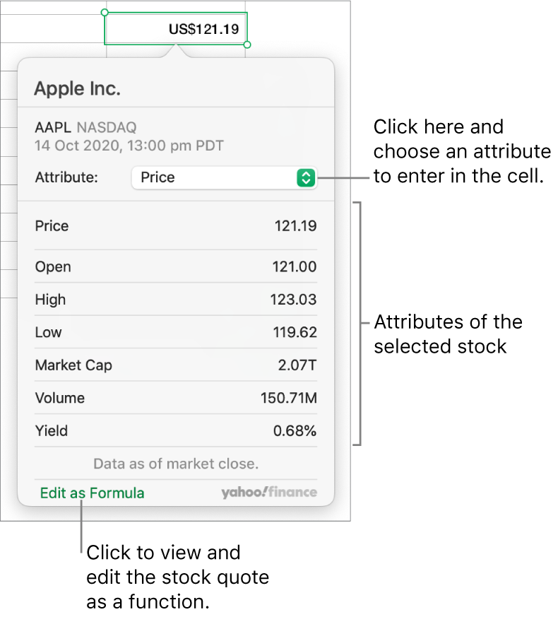 The dialogue for entering stock attribute information, with Apple as the selected stock.