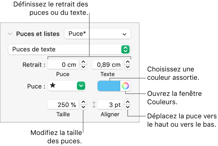 Section Puces et listes accompagnée des légendes des commandes pour le retrait des puces et du texte, la couleur des puces, leur taille et leur alignement.