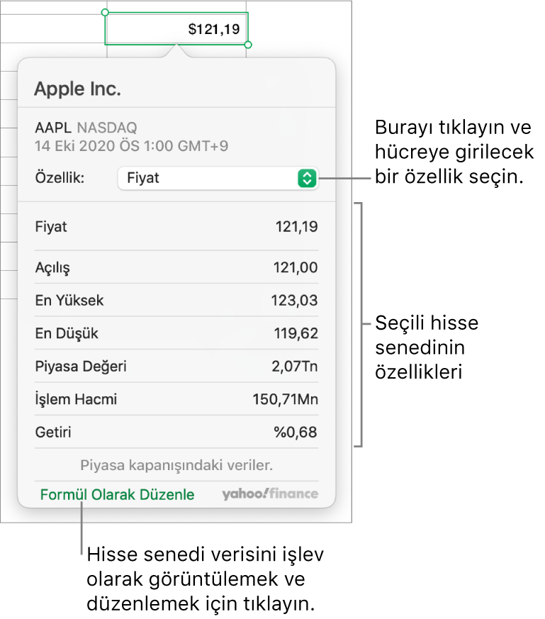 Seçilen hisse senedi Apple olmak üzere hisse senedi özelliği bilgilerinin girildiği sorgu kutusu.