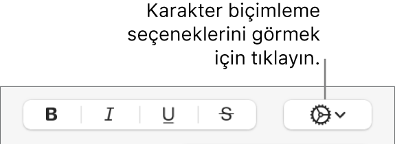 Kalın, İtalik, Altı Çizgili ve Üstü Çizgili düğmelerinin yanındaki Diğer Metin Seçenekleri düğmesi.