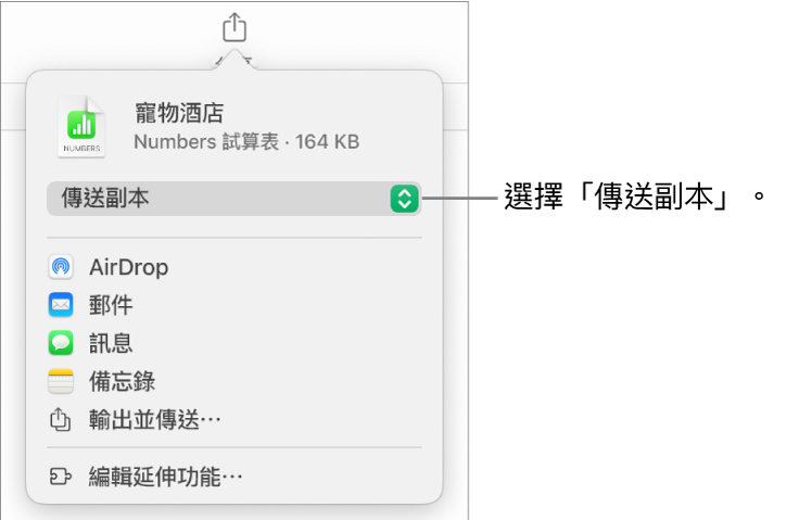 共享選單最上方的「傳送副本」已被選取。