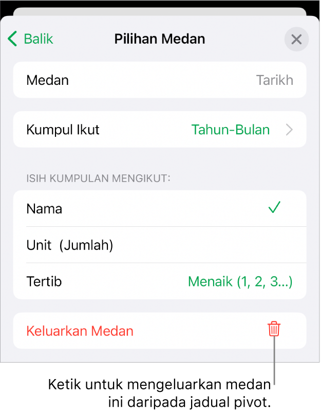 Menu Pilihan Medan, menunjukkan kawalan untuk mengumpulkan dan mengisih data, juga pilihan untuk mengeluarkan medan.