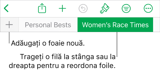 Bara de file pentru adăugarea unei foi noi, navigarea, reordonarea și reorganizarea foilor.