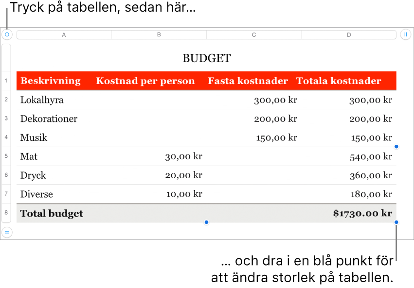 En markerad tabell med blå punkter som används till att ändra storleken.