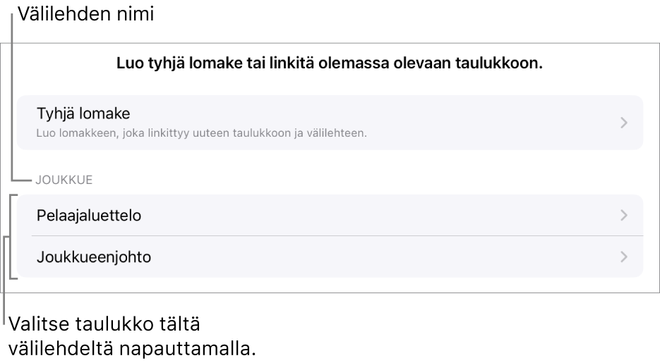 Samassa laskentataulukossa olevien taulukoiden luettelo ja ylhäällä valinta, jolla voi luoda tyhjän lomakkeen.