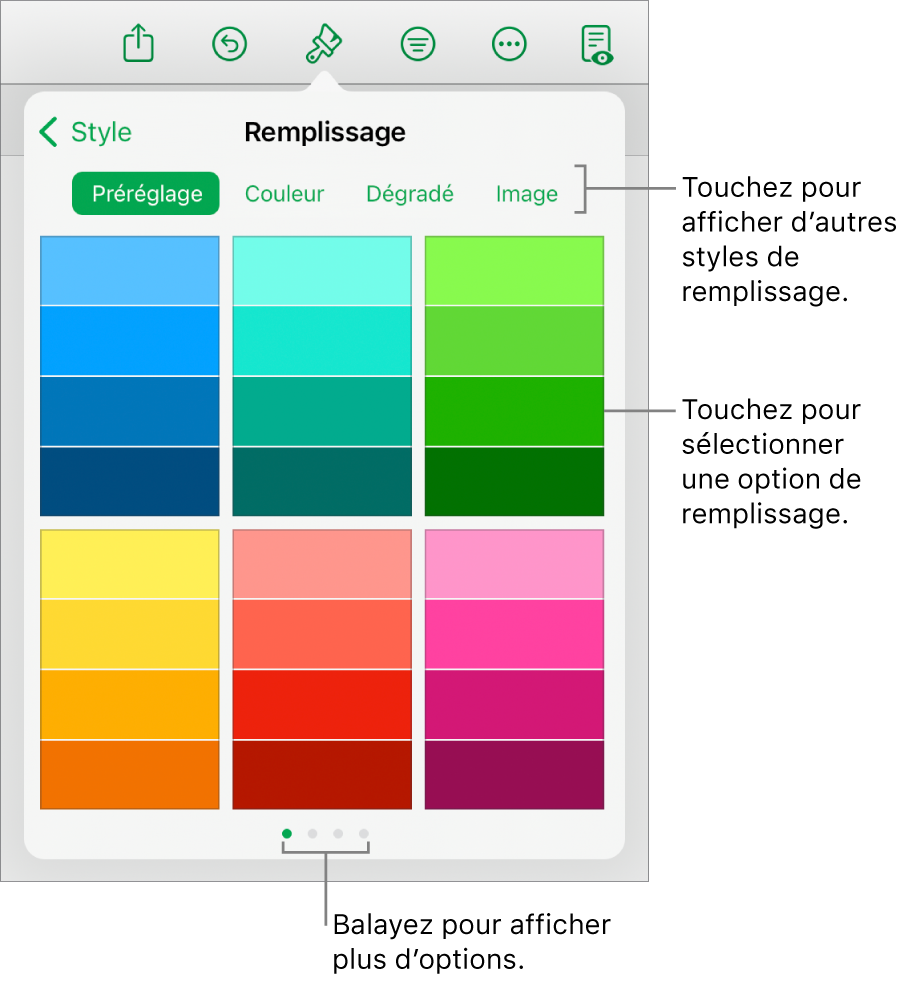 Options de remplissage de l’onglet Style du bouton Format.