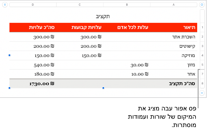 פס אפור עבה שמציג את מיקומן של שורות ועמודות נסתרות