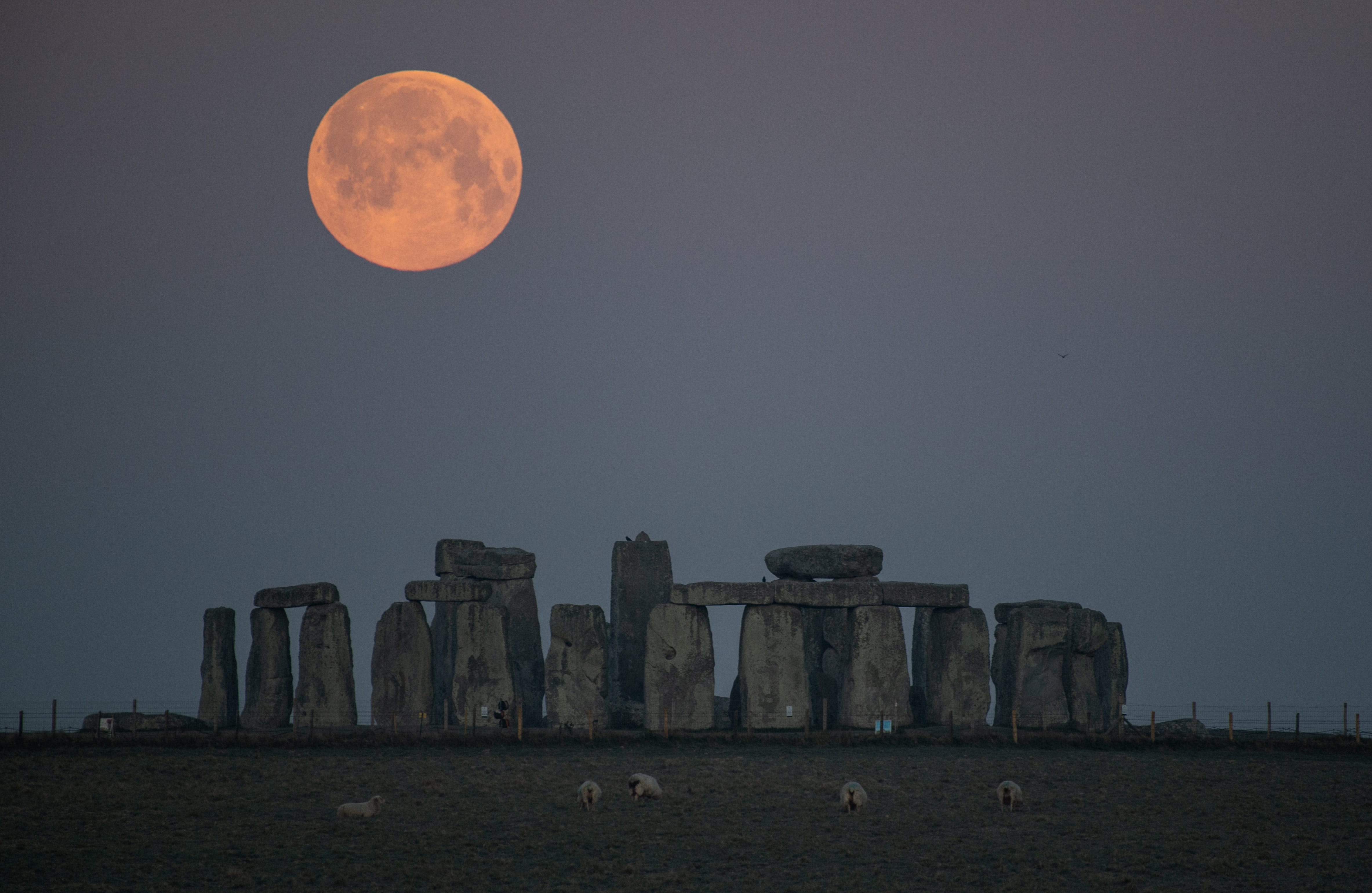 harvest moon september