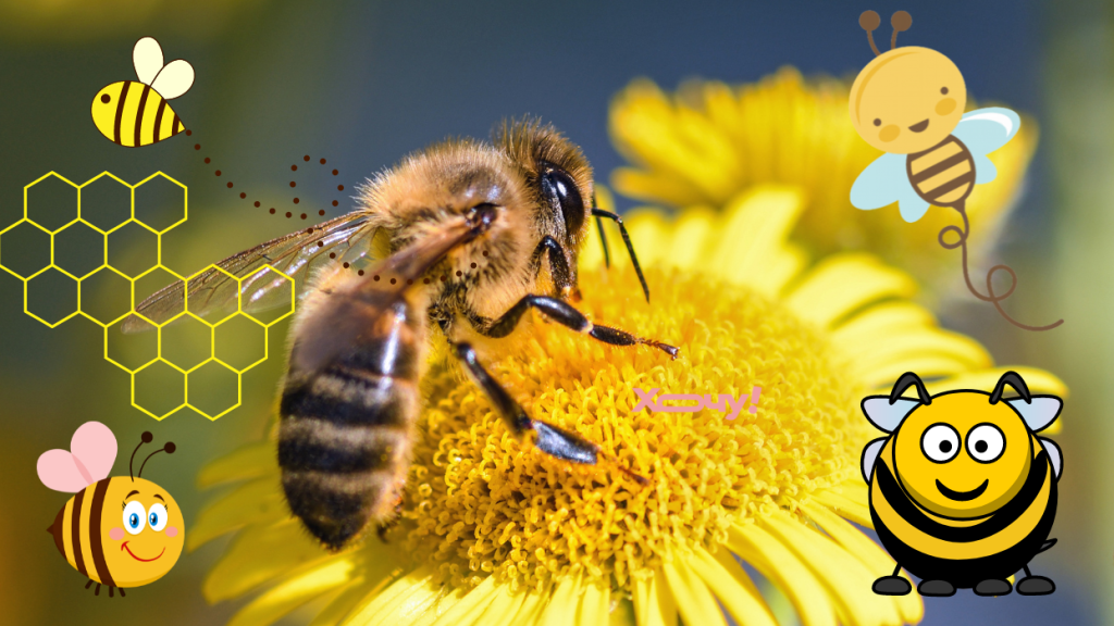 Загадка для самых сообразительных: найдите пчелку, которая не такая, как все