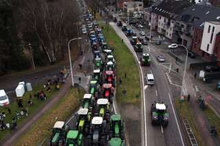 Pour répondre à la colère des agriculteurs, l’UE met en suspens l’obligation de jachère