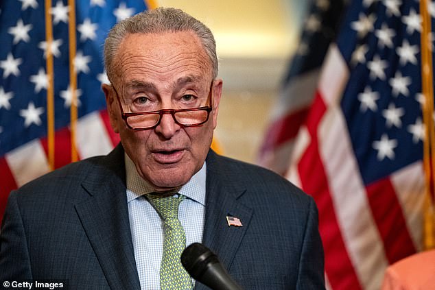 Sen. Chuck Schumer has said that President Joe Biden needs additional laws passed to be able to effectively address the immigration issues along the U.S.-Mexico border