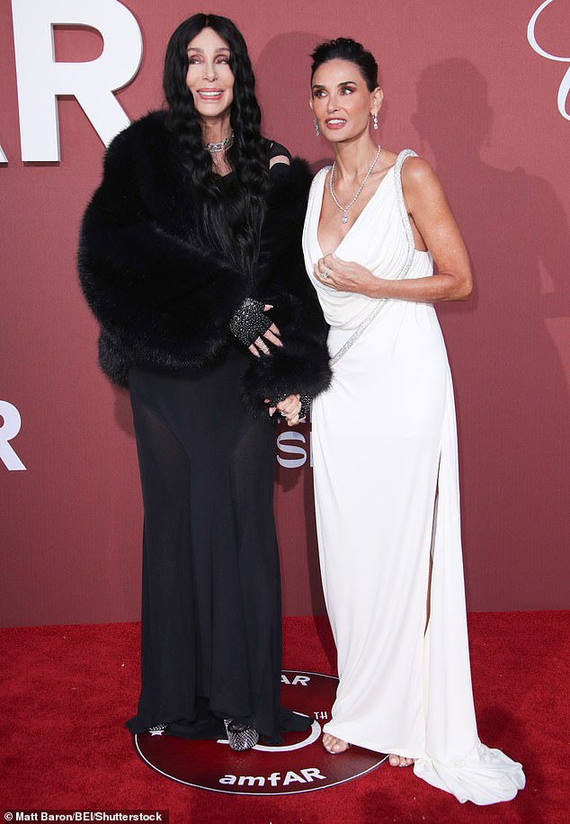 Cher wore a long dress with a huge faux-fur coat and a pair of glittering fingerless gloves