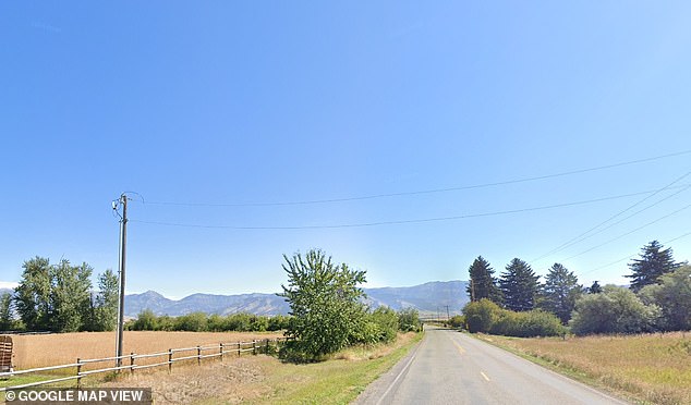 In the video, the unusual, long 'cigar' UFO appears to slowly glide at an angle past the stars - just before disappearing behind a mountain range visible from the witness's location along Airport Road in the city of Belgrade (above, a view from the spot where the UFO was seen)