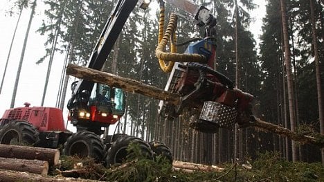 Náhledový obrázek - Loni se vytěžilo nejvíce dříví v historii. Zisk z hektaru však propadl