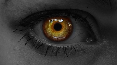 Náhledový obrázek - Genová terapie vrátila slepému muži zrak. Vědci teď hledají způsob, jak ji rozšířit mezi další pacienty