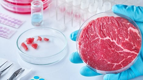 Náhledový obrázek - Ve Spojených státech staví největší továrnu na umělé maso na světě. V bioreaktorech vznikne hovězí, kuřecí i jehněčí