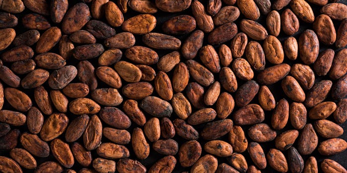 Cocoa prices have doubled as extreme weather has battered supply