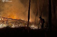 На Донеччині рятувальники другу добу ліквідовують масштабну пожежу у нацпарку