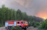 У Вишгородському районі на Київщині локалізовано пожежу в природній екосистемі