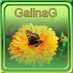  GalinaG