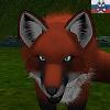  Hidden_Fox_Post