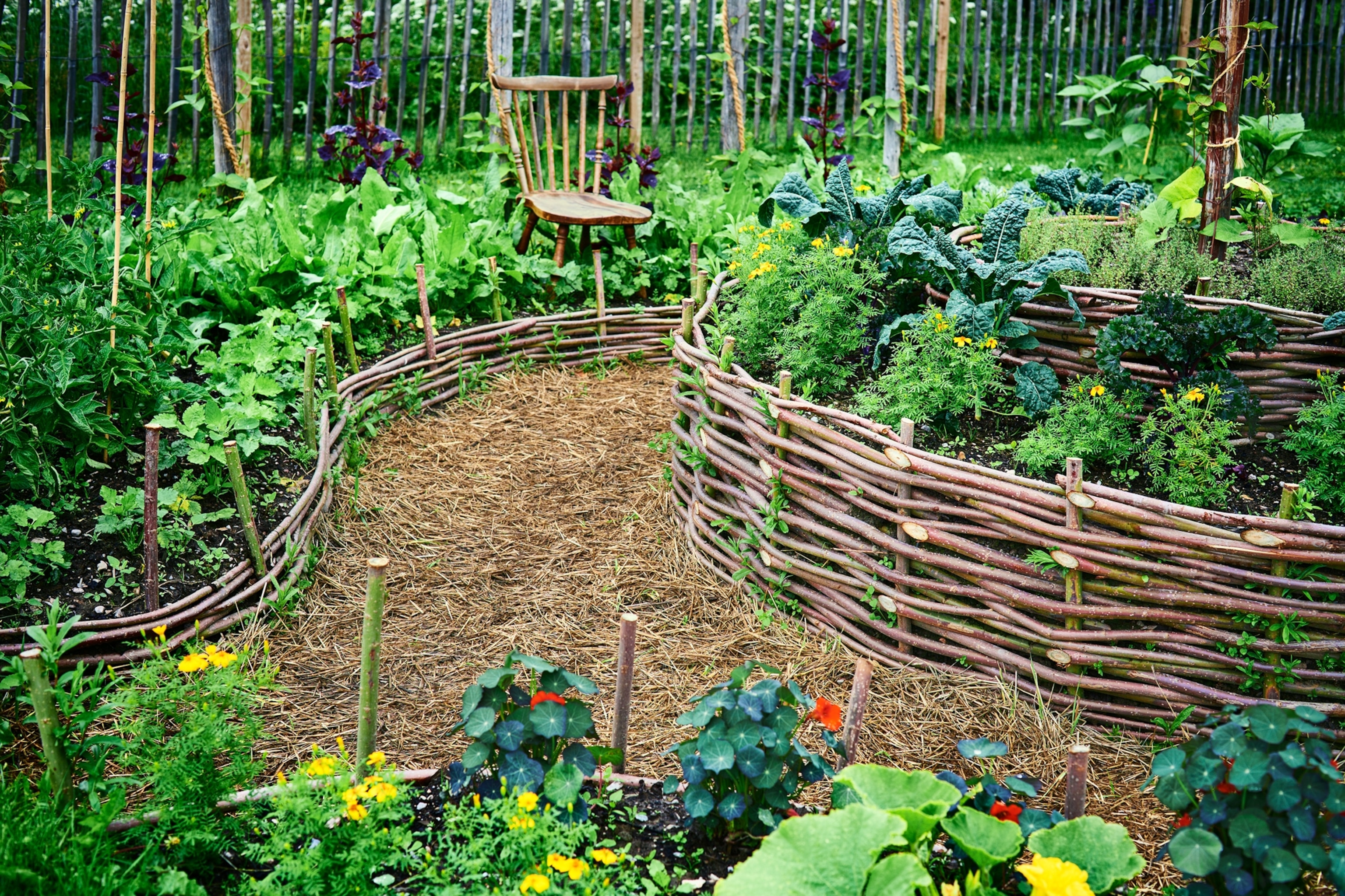 Picture of vegetable garden with fences around beds made of twigs.