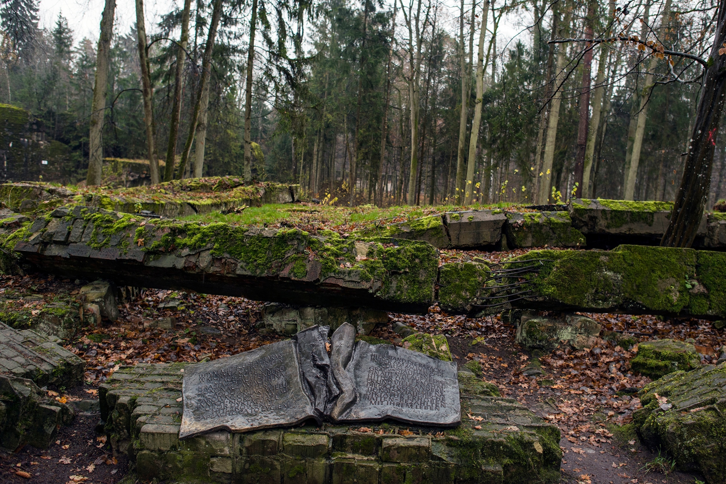 A dark stone carving of a book with text, ruins filled with moss in a wooded area.