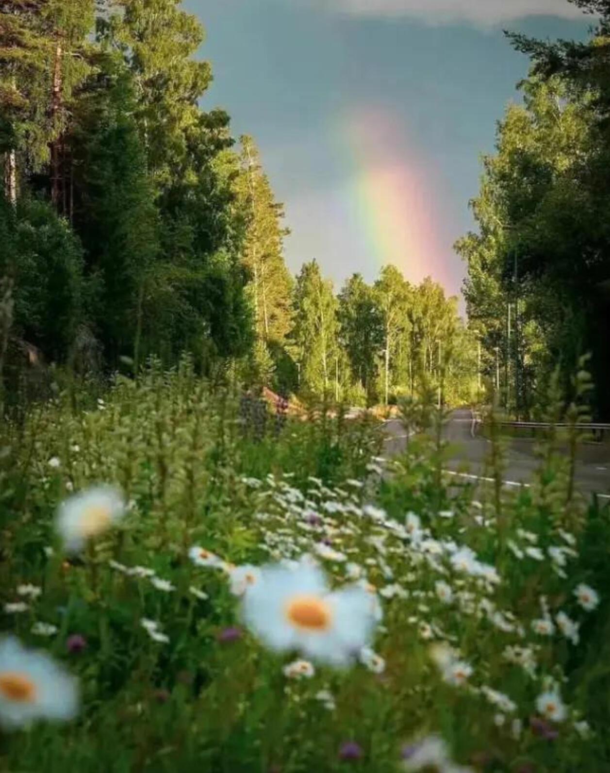 Фотография от СВЕТЛАНА СВЕТЛАНА