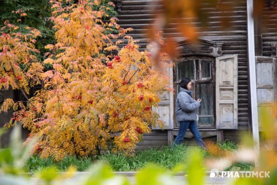 Школьные стихи со скрипом переворачиваются в голове, превращаясь в один тяжёлый выдох. - 954608079679