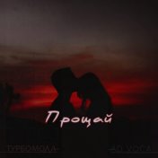 Прощай