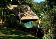 a thatched roof house surrounded by trees and greenery