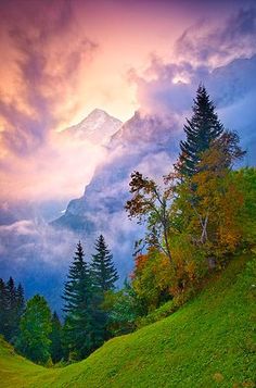 the mountains are covered in clouds and trees as the sun is setting over them on a cloudy day