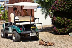 two men are riding in a golf cart on the gravel near some trees and flowers