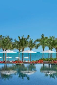 an outdoor swimming pool with umbrellas and palm trees on the beach in front of the ocean