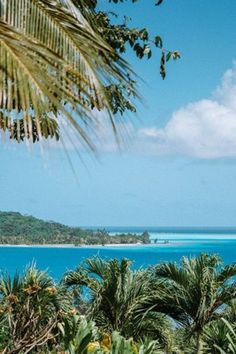 the ocean is blue and clear with palm trees