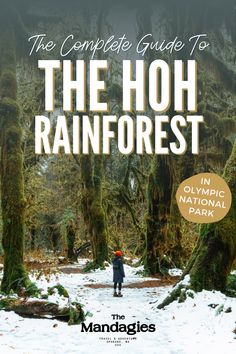 the complete guide to the hoh rainforest