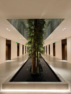 an indoor pool in the middle of a large building with plants growing on it's sides