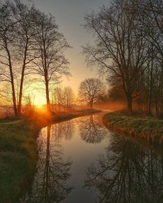 the sun is setting behind some trees on the bank of a river with water in front of it