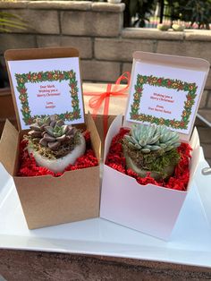 two boxes filled with plants on top of a table