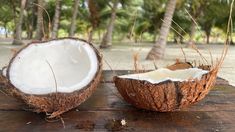 two coconuts sitting on top of a wooden table next to each other in front of palm trees