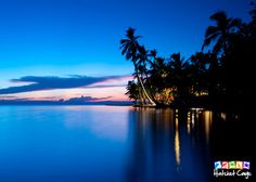 palm trees are reflected in the water at dusk