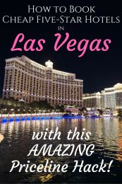 las vegas with the words how to book cheap five - star hotels in las vegas