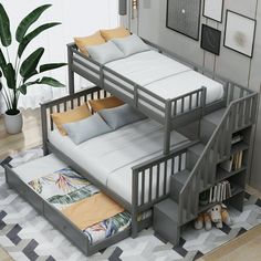 a bunk bed sitting on top of a wooden floor next to a potted plant